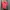 Polo Ralph Lauren Luxury Casual Polo Shirt Pria Pink