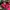 Fila Casual Hat Wanita pink photo 6
