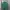 Polo Ralph Lauren Luxury Casual Polo Shirt Pria Green