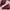 Miu Miu Y2K Luxury Heels Wanita Red