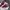 Miu Miu Y2K Luxury Heels Wanita Red
