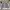 Adidas Sportswear Casual Track jacket Pria white black photo 2