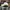 Casual Hat Pria white green photo 2