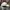Casual Hat Pria white green photo 4