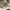 Casual Hat Pria white green photo 6