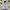Nike Streetwear Sportswear Fleece Pria gray photo 1