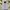 Nike Streetwear Sportswear Fleece Pria Gray