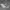VANS Minimalist Casual Sneakers Pria white black photo 4
