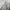 Uniqlo Streetwear Y2K Sweatshirt Pria cream photo 3