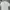 Uniqlo Streetwear Y2K Sweatshirt Pria cream photo 1