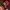 Columbia Gorpcore Grunge Puffer jacket Pria red black photo 4