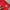Descente Sportswear Sweatpants & Joggers Pria red photo 3