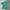 Sportswear Jersey Pria green photo 3