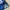 Billabong Y2K Sportswear Swimwear Pria white blue photo 2