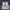 Converse Streetwear Skater Sneakers Pria white blue photo 6