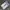 Converse Streetwear Skater Sneakers Pria white blue photo 4