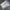 Converse Streetwear Skater Sneakers Pria White Blue
