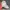 Converse Streetwear Skater Sneakers Pria khaki photo 7