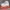 Converse Streetwear Skater Sneakers Pria Khaki