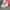 Converse Streetwear Skater Sneakers Pria khaki photo 4