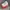 Converse Streetwear Skater Sneakers Pria khaki photo 2