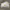 Converse Streetwear Skater Sneakers Pria white yellow photo 5