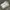 Converse Streetwear Skater Sneakers Pria white yellow photo 2