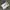 Converse Streetwear Skater Sneakers Pria white yellow photo 3