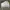 Converse Streetwear Skater Sneakers Pria white yellow photo 1
