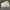 Converse Streetwear Skater Sneakers Pria White Yellow
