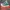 Converse Streetwear Skater Sneakers Pria white green photo 1