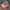 Converse Streetwear Skater Sneakers Pria white green photo 2