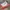Converse Streetwear Skater Sneakers Pria white photo 2