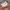 Converse Streetwear Skater Sneakers Pria White