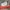 Converse Streetwear Skater Sneakers Pria white photo 1