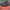 Converse Streetwear Skater Sneakers Pria multicolor black photo 1