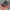 Converse Streetwear Skater Sneakers Pria multicolor black photo 3