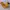 Timberland Streetwear Boots Pria orange photo 1