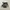 Oakley Y2K Sportswear Swimwear Wanita green gray photo 1