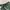 Oakley Y2K Sportswear Swimwear Wanita green gray photo 2