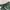 Oakley Y2K Sportswear Swimwear Wanita Green Gray
