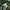 Oakley Y2K Sportswear Swimwear Wanita green gray photo 5