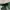 Oakley Y2K Sportswear Swimwear Wanita green gray photo 3
