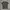 Giordano Minimalist Casual T-shirt Pria multicolor photo 4