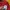 Youths In Balaclava Avant Garde T-shirt Pria red photo 1