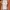 H&M Casual Midi dress Wanita cream photo 2
