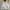 Gorpcore Puffer jacket Pria tan photo 8