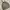 Gorpcore Puffer jacket Pria tan photo 3