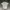 Fred Perry Casual Polo shirt Pria white photo 1