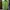 Nike Sportswear Polo shirt Pria green photo 1